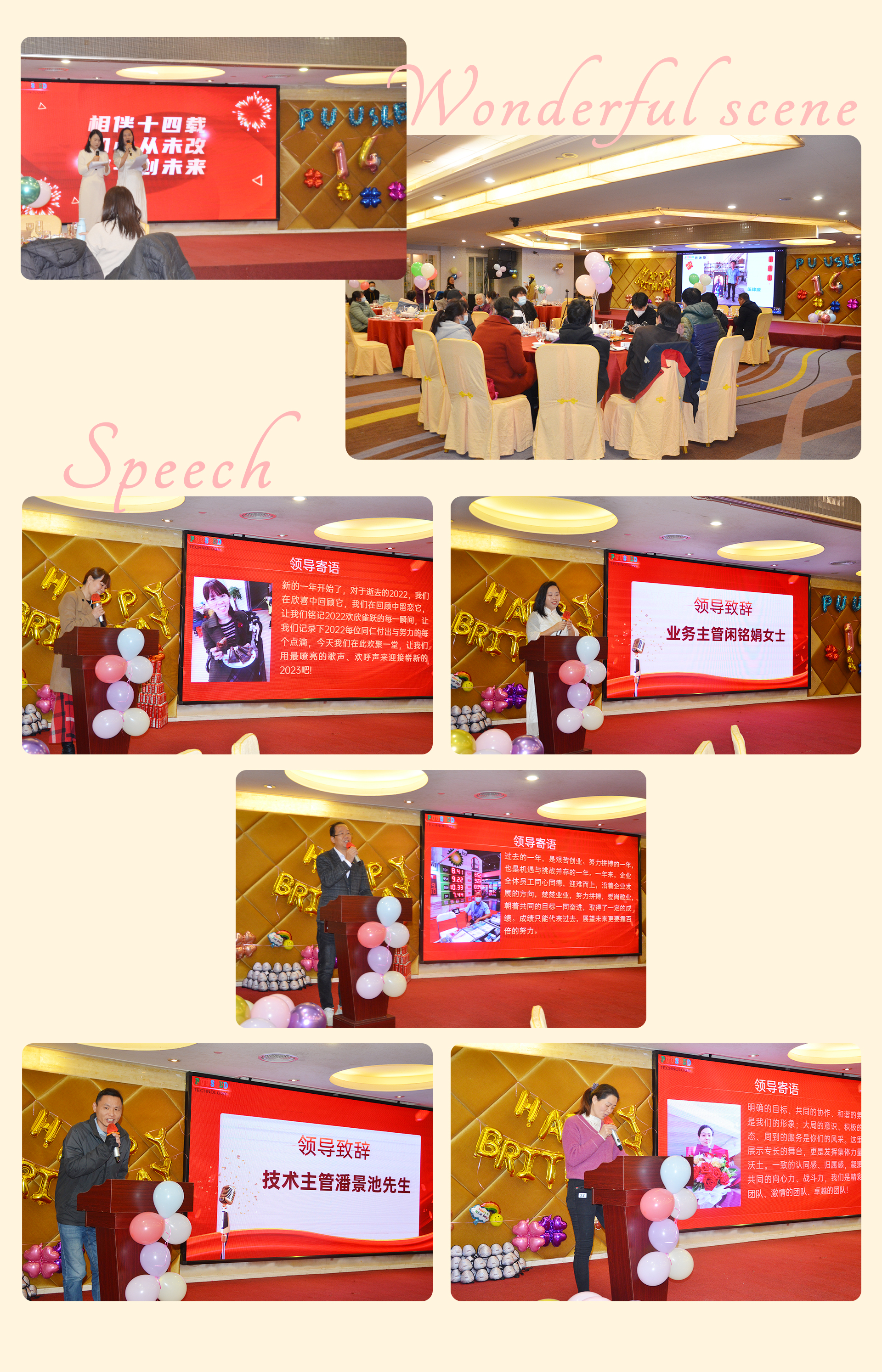 puusled-14th-birthday1